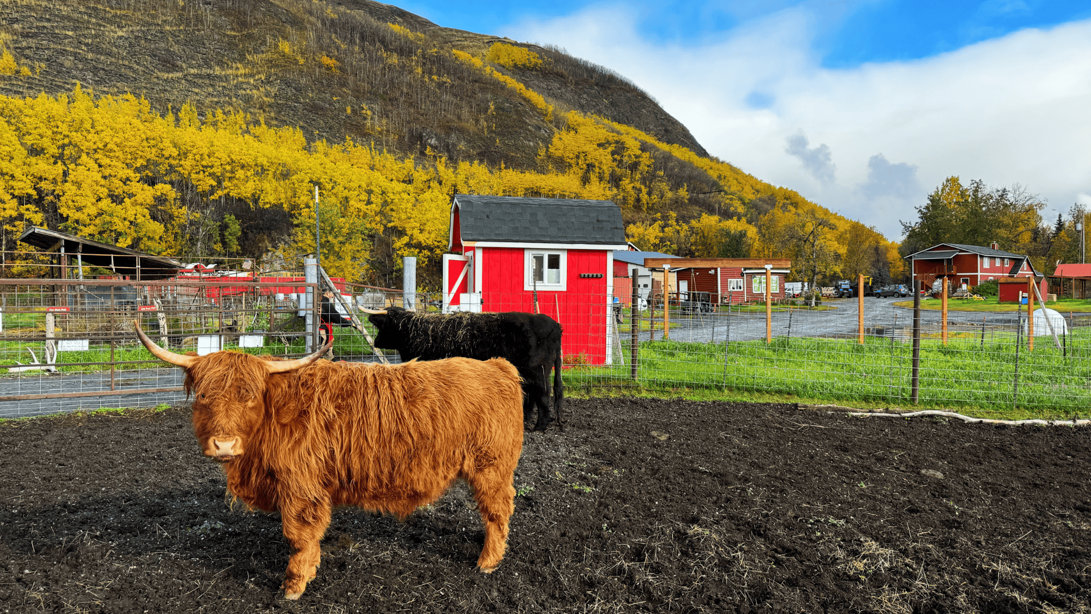 Palmer and Wasilla loop