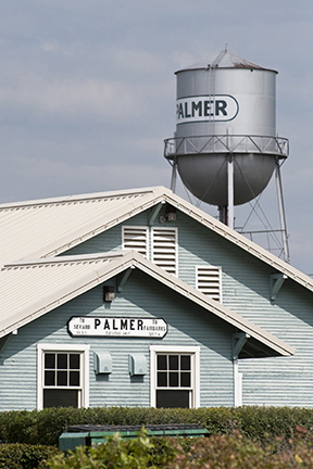 Palmer