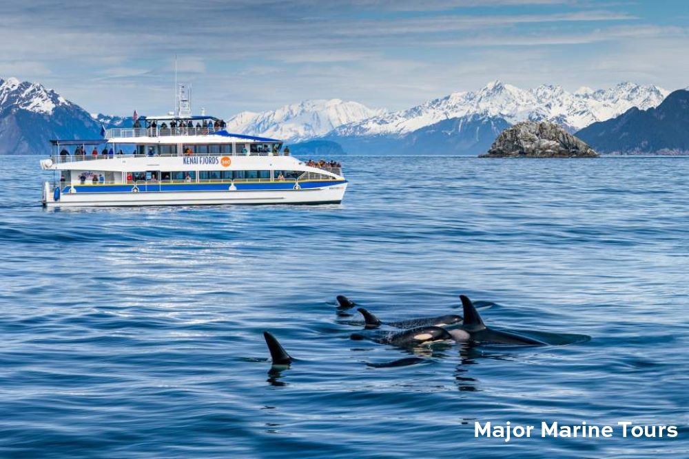 Kenai Fjords cruise outside Seward